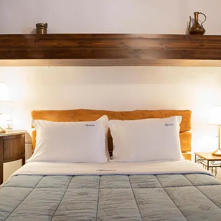 Ourania 招待所 帕莱斯潘蒂雷蒙