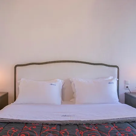 Ourania 招待所 帕莱斯潘蒂雷蒙